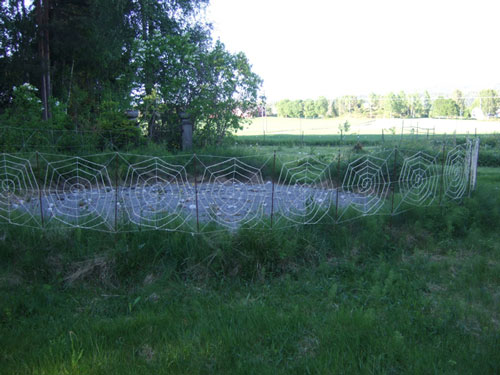 Spiral labyrinth. landart with spiderwebs. Hilde Aga Brun